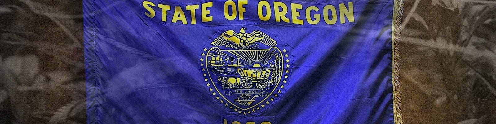 The Oregon state flag, a blue flag with the state's golden seal embroidered on it.