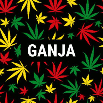 texture for design wallpaper. purple leaves on black background. Ganja  Marijuana Weed Seamless Pattern Stock Photo | Adobe Stock