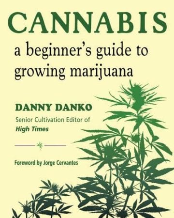 Beginner's Guide to Growing Marijuana