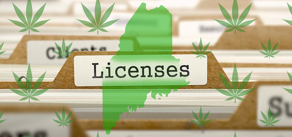 Portland Maine Anticipates Wave Of New Cannabis Business Openings   Maine Licenses 