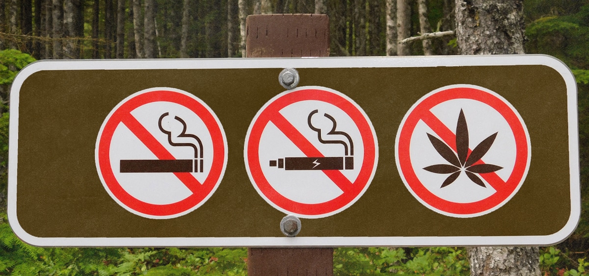 New York Bans Smoking In Parks Beaches Playgrounds And Other Public Spaces Ganjapreneur