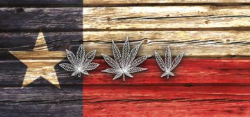 Texas Sues Cities Over Voter-Approved Cannabis Decriminalization ...