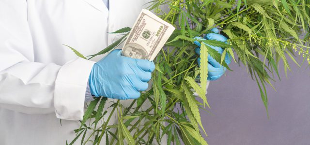 California Department Of Cannabis Control To Fund $20M In Cannabis ...