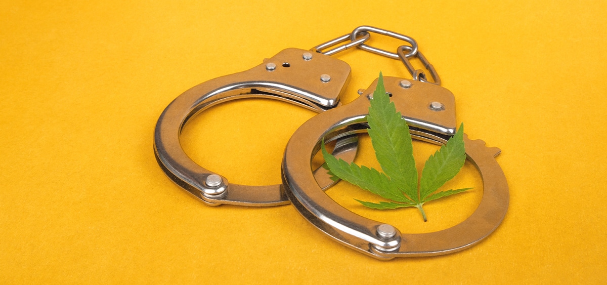 Black People Still More Likely to Be Arrested for Cannabis Crimes in ...