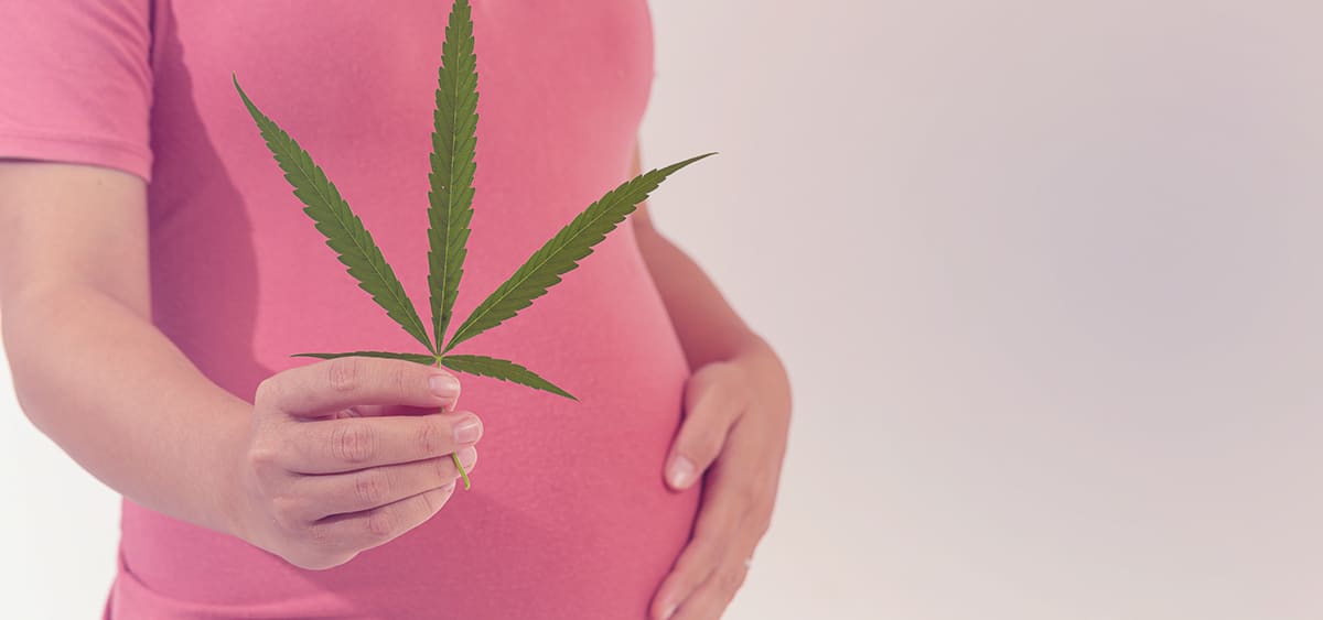 Court Rules Doctor-Recommended Use Of Medical Cannabis While Pregnant ...