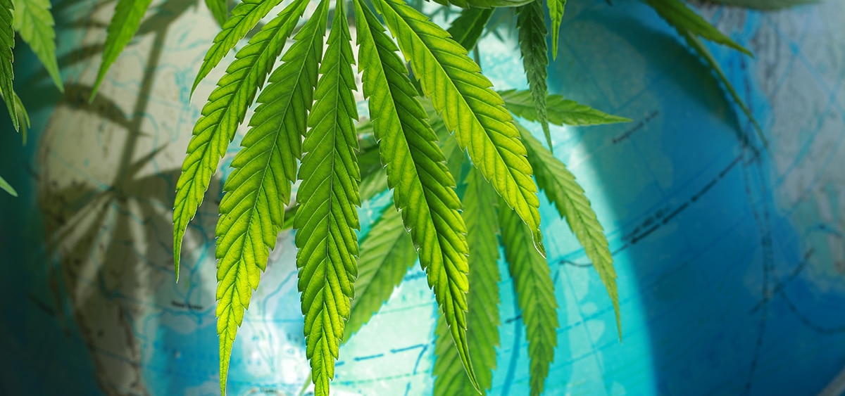 UN Drug Board Criticizes Nations for Cannabis Legalization