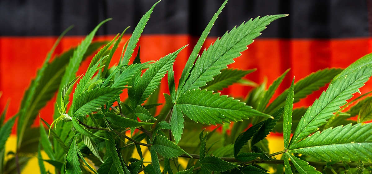 Germany Scales Back Its Cannabis Legalization Plan