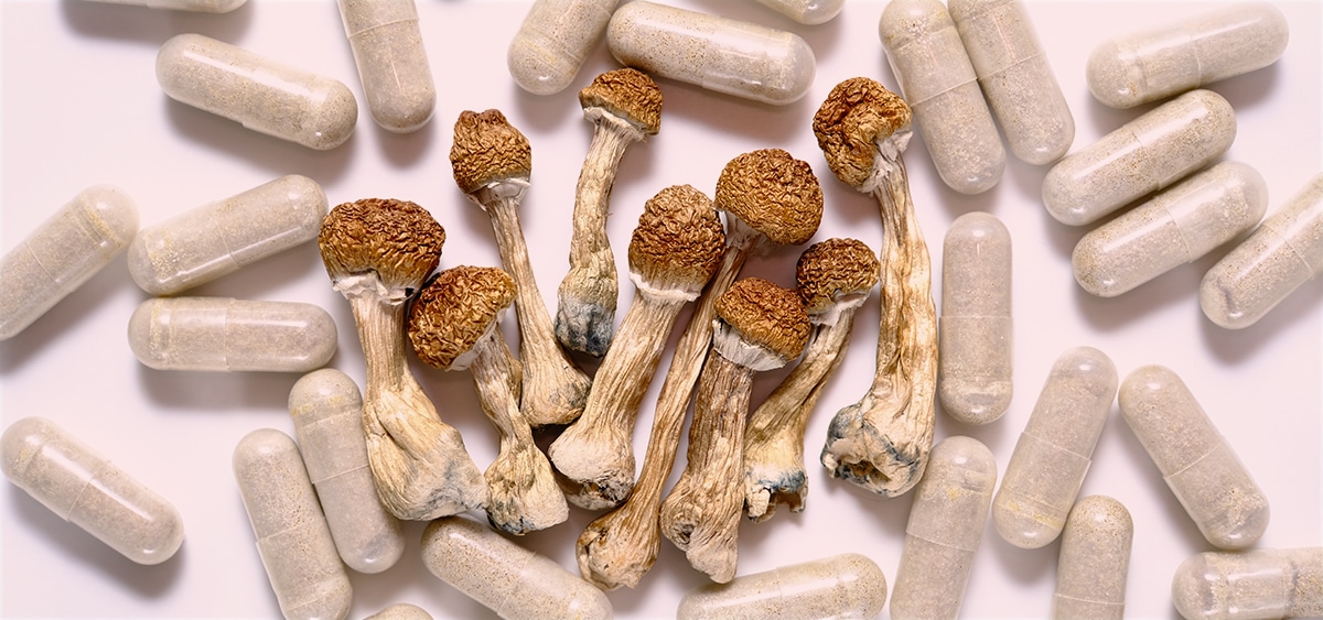 Poll: 61% Of U.S. Voters Back Legalizing Psychedelics For Therapeutic ...