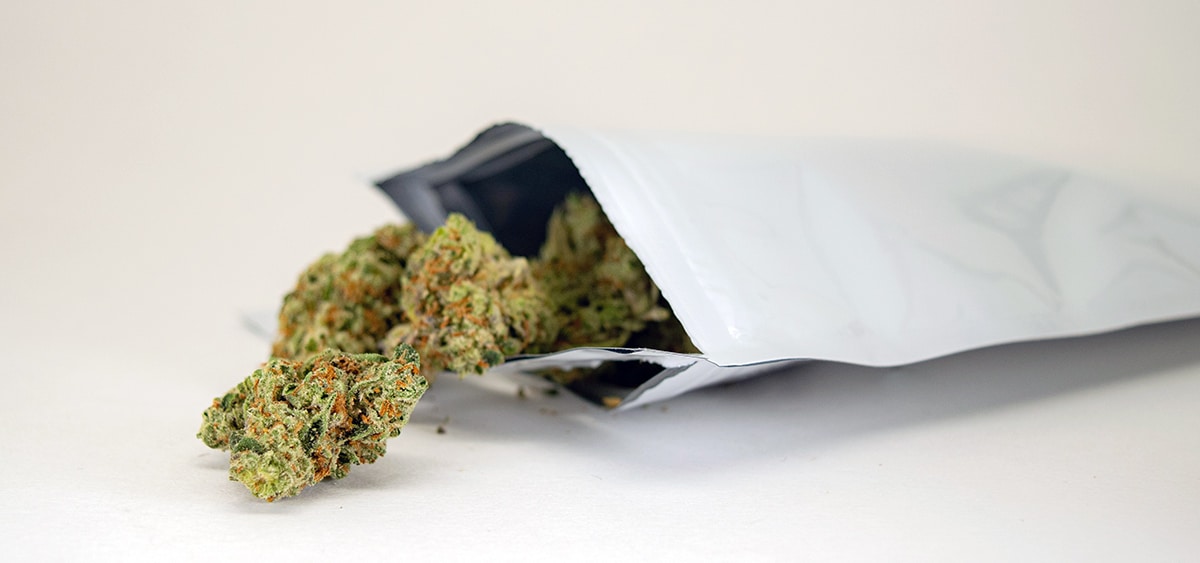 Adult Use Cannabis Sales In Maine Set Another Record In July Ganjapreneur   Maine July 