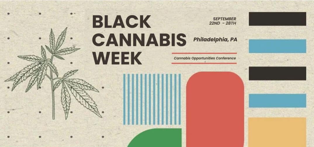 Black Cannabis Week: A Journey of Education, Celebration, and Empowerment