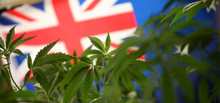 Australian Health Authorities Take Action Against 57 Medical Practitioners Over Cannabis Prescribing Practices 