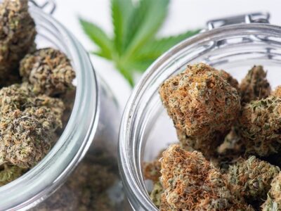 Michigan Cannabis Sales Fall, But Consumers Are Buying More at Dispensaries