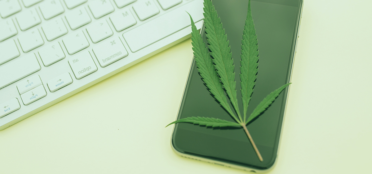 Advocacy Organizations Call on Meta to End Censorship of Cannabis and Psychedelic Communities