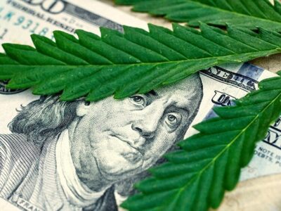 Connecticut Adult-Use Cannabis Sales Total $713M Since 2023 Market Launch 