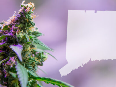 Connecticut Cannabis Tax Revenue Up 67% Due to Potency-Based Tax Model