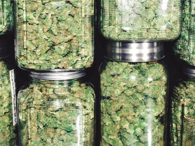 DEA Launches Online Portal for Registering Medical Cannabis Firms