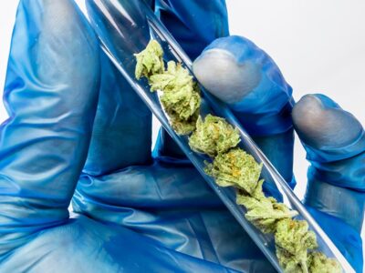 Mississippi’s Only Two Cannabis Testing Labs Merge 