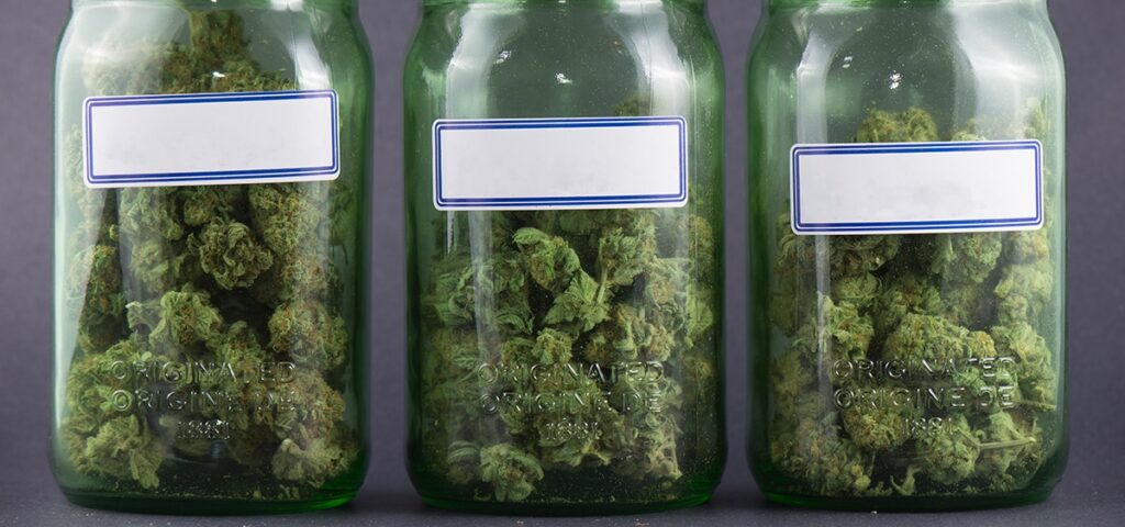 Court Declares Medical Cannabis Company Bedrocan’s Dutch Entities ...
