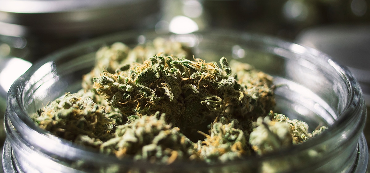 Adult-Use Cannabis Sales Launch in Minnesota