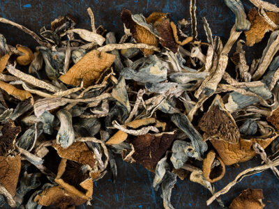 Secret Shoppers Study Finds Oregon Psilocybin Centers Highly Compliant