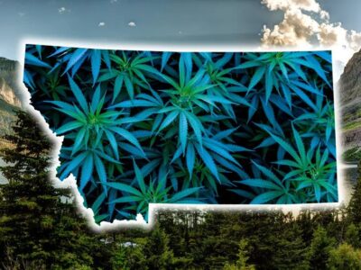 Montana Gov. Vetoes Bill on Tribal Cannabis Agreements