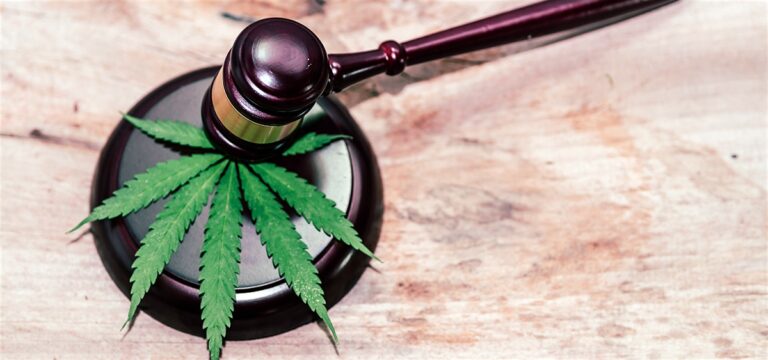Medical Cannabis Companies Sue Kentucky Over Licensing Process 