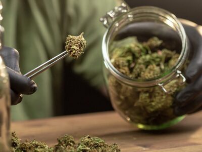 Massachusetts High Court Allows Ballot Measure to End Adult-Use Cannabis Sales to Proceed