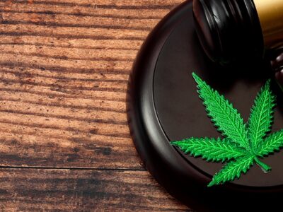 Anti-Cannabis Coalition Sues Trump Admin Over Medicare Hemp Coverage Plan