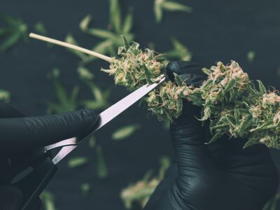 Illinois Cannabis Revenues Down 13% Despite More Items Sold