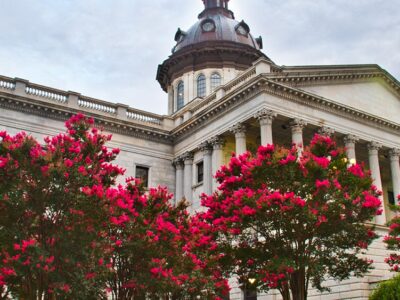 South Carolina Bid to Regulate Intoxicating Hemp Products Dies In House