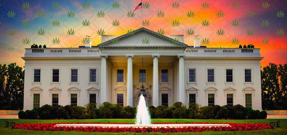 Report: Trump Told Provide Donors He Is Considering Rescheduling Cannabis