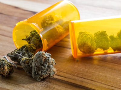 Maine House Rejects Testing Bill for Medical Cannabis Caregivers  