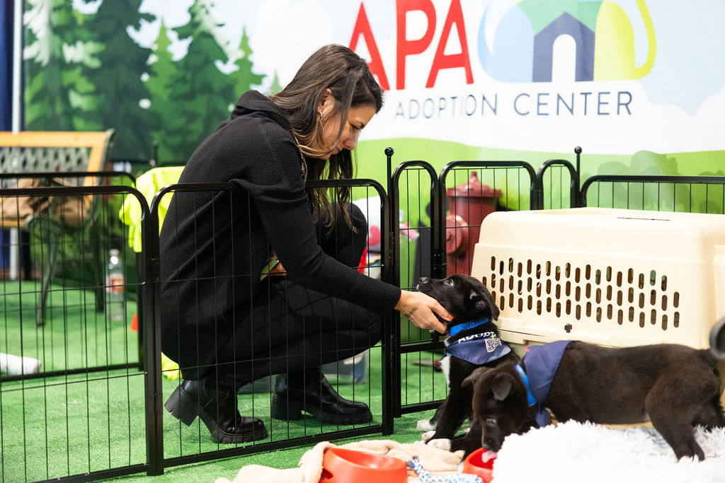 puppy booth