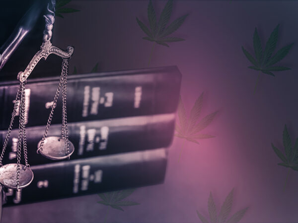 New Jersey Court Rules that Applicants and Employees Denied Employment Over Cannabis Test Can Sue Employer  