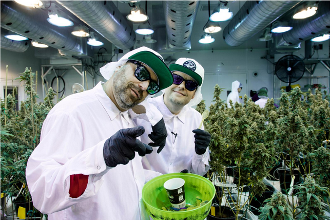 DNA Genetics’ Top 5 Cannabis Seeds in 2025