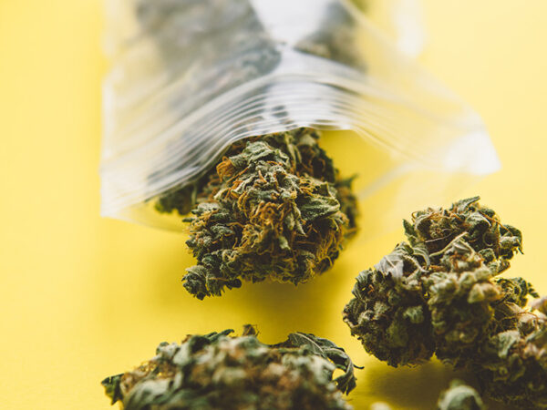 Virginia Lawmakers Consider Response to Governor’s Retail Cannabis Requests