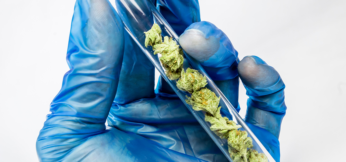 Michigan Cannabis Testing Lab License Revoked Under Settlement with Officials