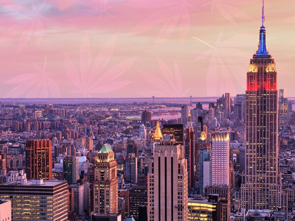 New York Cannabis Agency Appoints New Leadership 