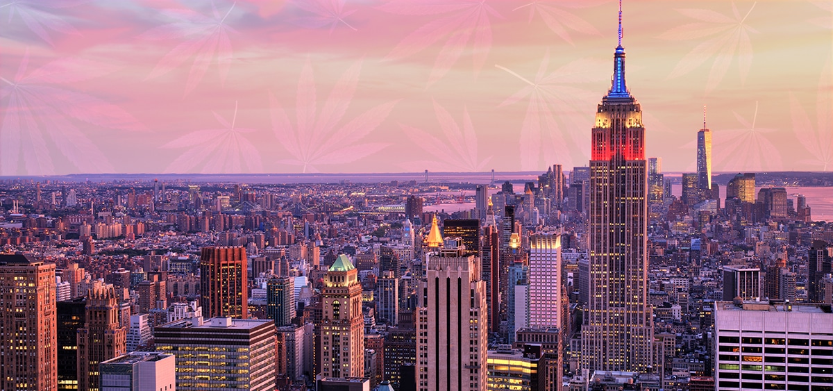New York Cannabis Agency Appoints New Leadership 