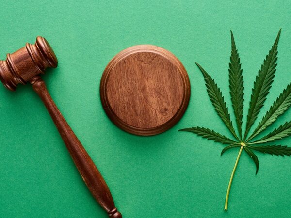 Missouri Supreme Court Hears Case Challenging Cannabis Business Application Process 