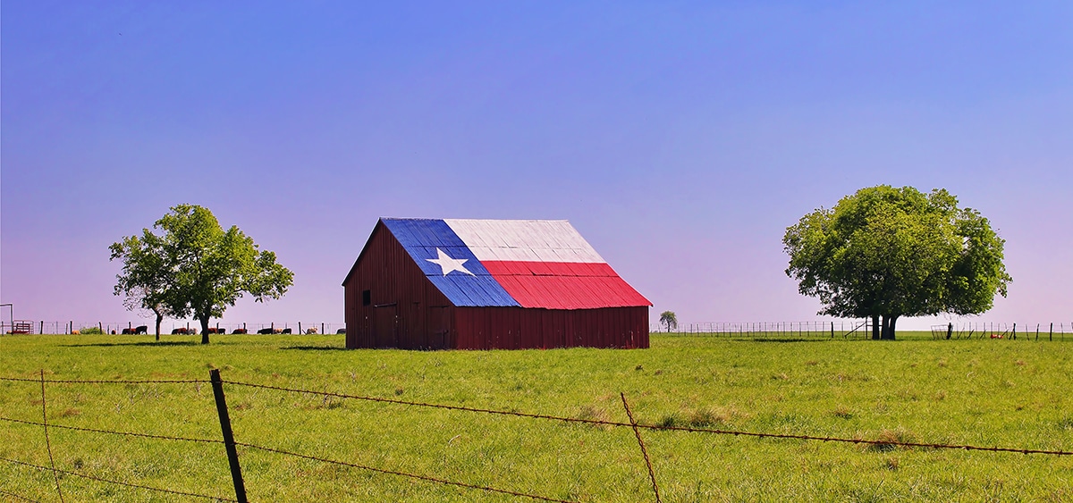 Texas Lawmakers Will Continue Pursuing Hemp Product Restrictions In Second Special Session