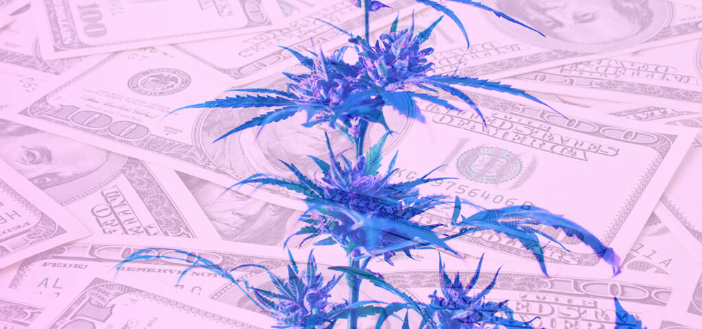 Report: Cannabis Excise Taxes Totaled Over $3.5 Billion Across 30 U.S. States Last Year