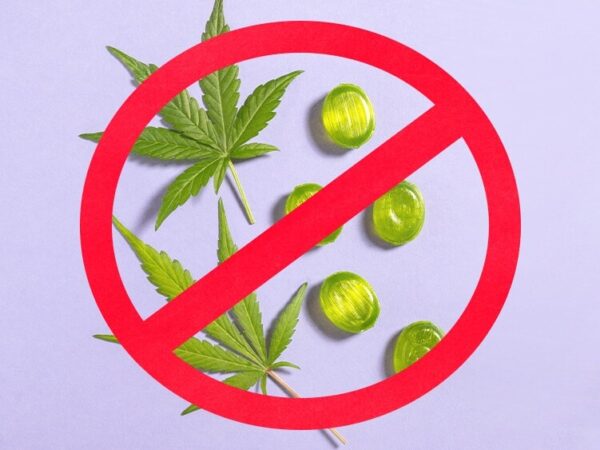 Massachusetts Cannabis Legalization Repeal Effort Qualifies for November Ballot
