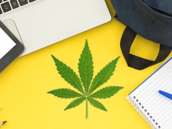 Study: Cannabis Use by Teens Declined from 1999-2023  