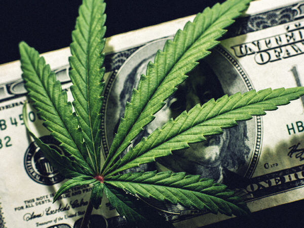 Aurora Cannabis Urges Shareholders to Reject Curaleaf’s Hostile Takeover