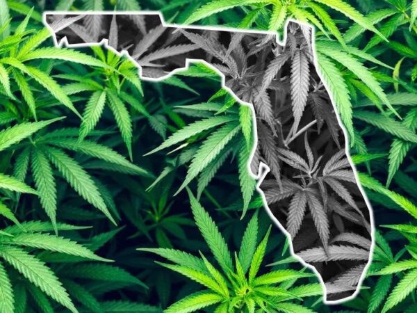 Report: Most Candidates for Florida Governor Oppose Legalizing Cannabis