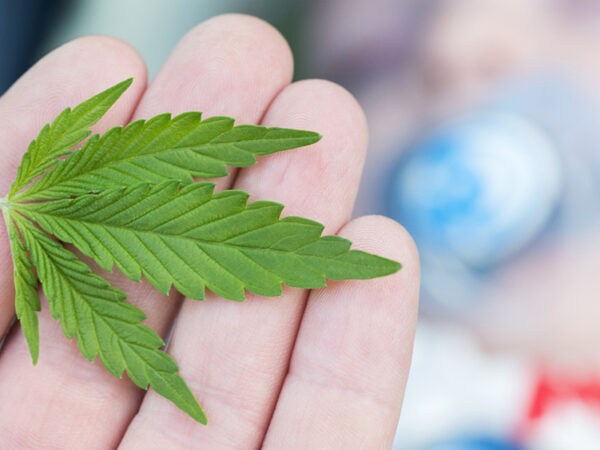 Democratic Candidate for Iowa Gov. Releases Adult-Use Legalization Plan