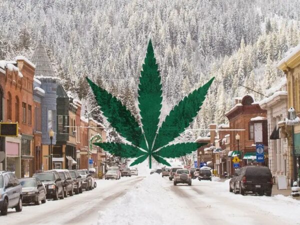 Idaho Lawmakers Pass Resolution Urging Public to Reject Medical Cannabis Legalization Efforts  