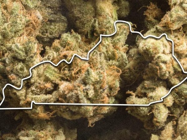 Kentucky Gov. Counters Lawmaker’s Call for Prosecuting Licensees Who Follow Qualifying Conditions Expansion
