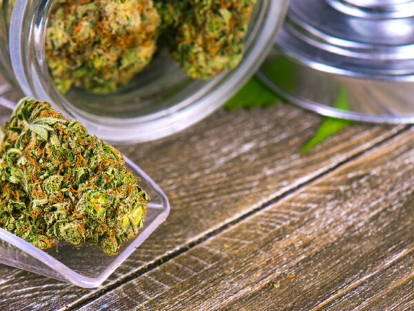 Study: Medical Cannabis Caregivers Outnumber Clinicians Authorized to Recommend Medical Cannabis 3 to 1   